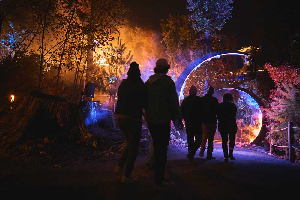 People congregate at a vibrant night market nestled within a serene wooded area, illuminated by colorful lights.