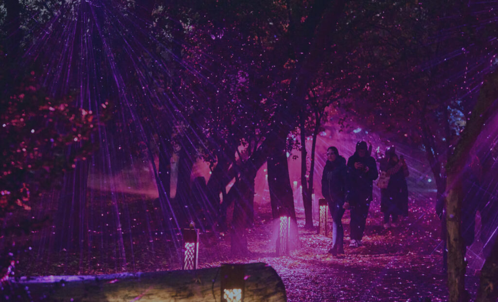 People figures walk a path illuminated by purple laser beams and light displays in a woodland setting at night.