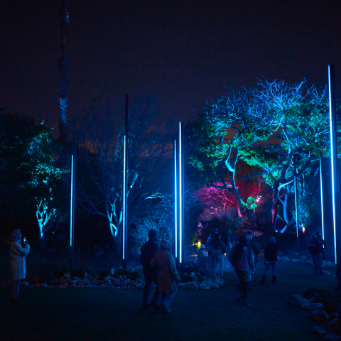 Nighttime illuminated park with vertical light structures and people walking among trees.