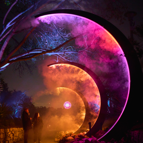 Large, crescent-shaped, illuminated structures with vibrant pink and orange light, creating an ethereal tunnel effect, with trees and people walking through.