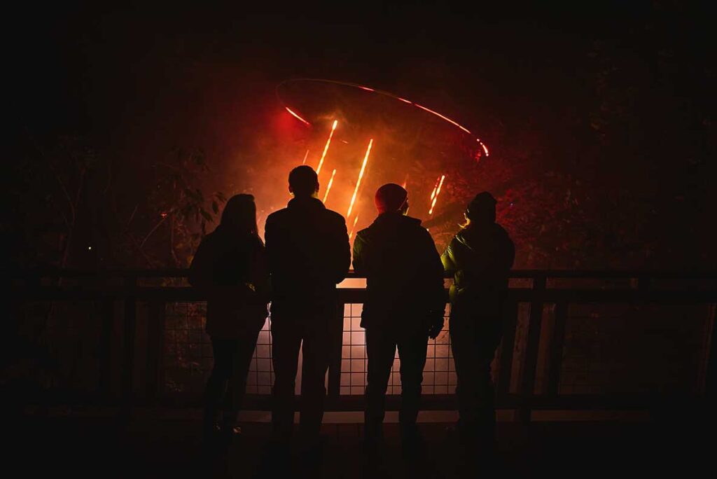 A crowd of people enjoying a vibrant firework display lighting up the night sky.