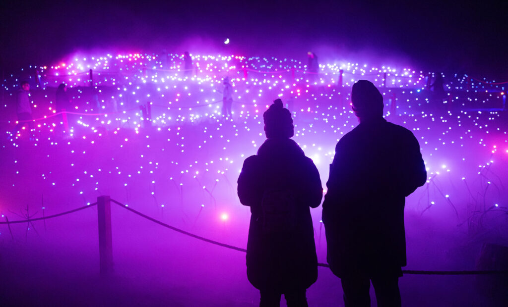 Two people watch a beautifully lit pathway in awe